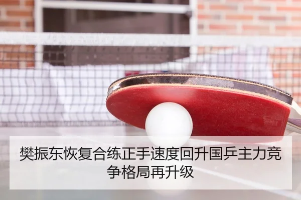 樊振东恢复合练正手速度回升国乒主力竞争格局再升级